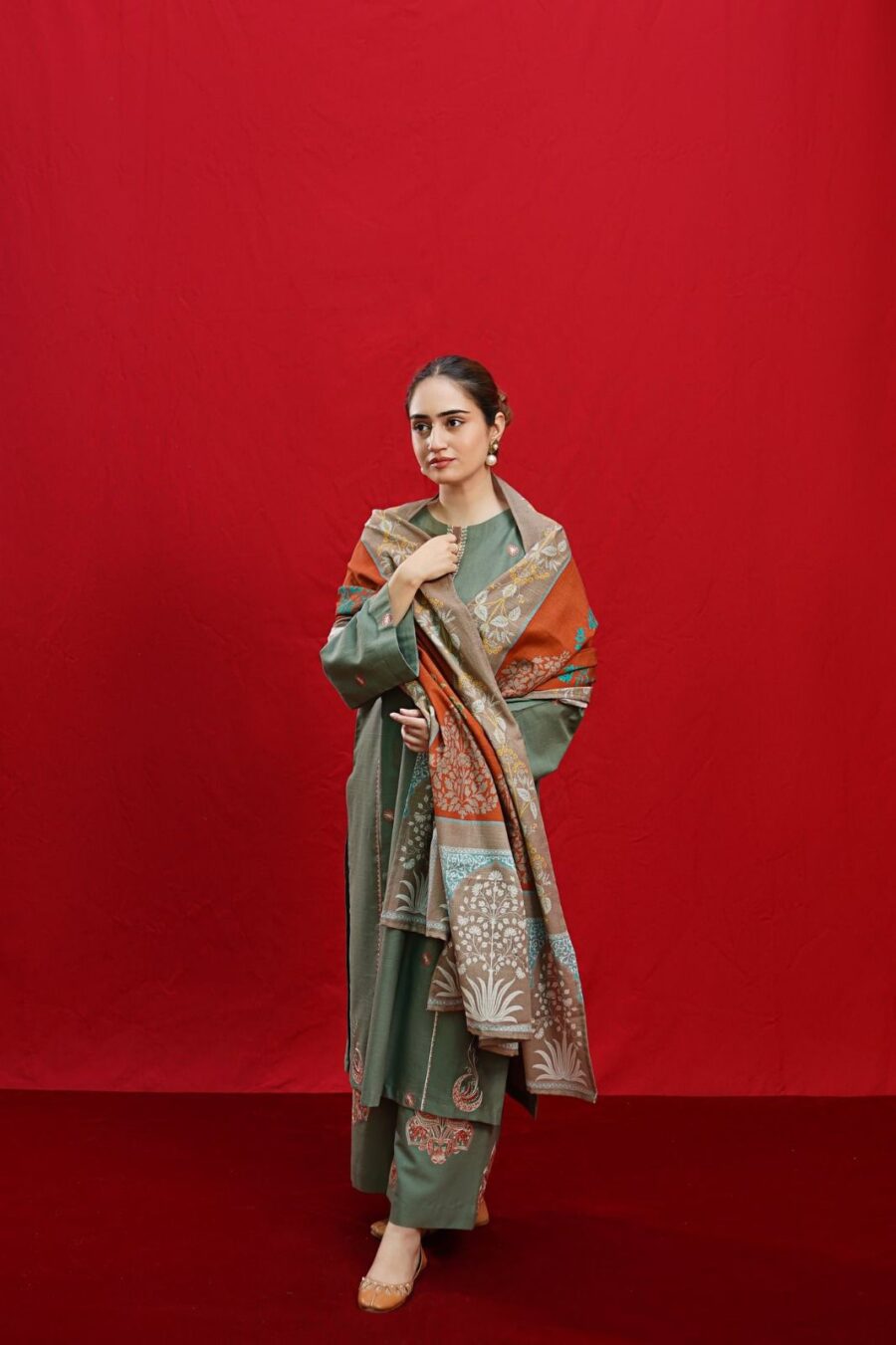 Dhanak Heavy Embroidery Winter Collection - Red