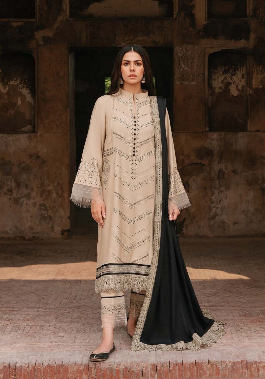 Dhanak Heavy Embroidery Winter Collection