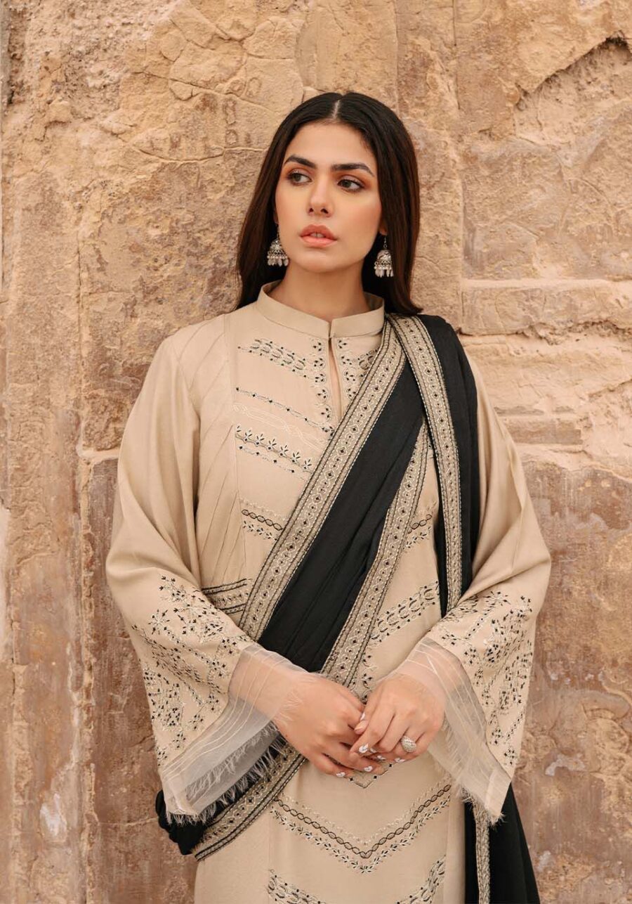 Dhanak Heavy Embroidery Winter Collection - Image 2