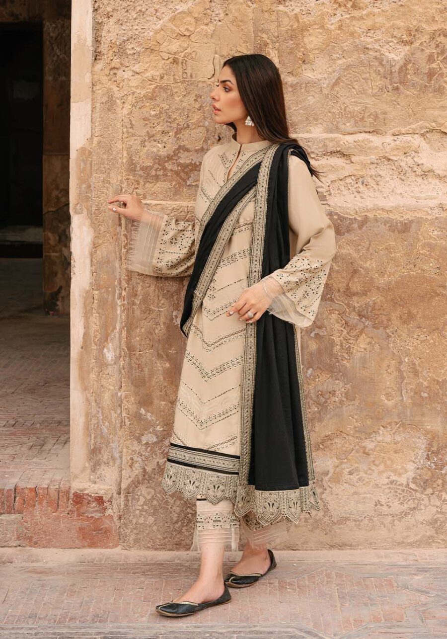 Dhanak Heavy Embroidery Winter Collection - Image 3